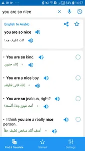 Arabic Translator Offline screenshot 3