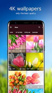 Tulip Wallpapers PRO screenshot 0