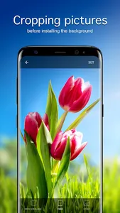 Tulip Wallpapers PRO screenshot 2