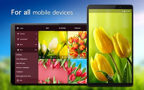 Tulip Wallpapers PRO screenshot 4