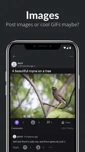 Challo: The Internet Haven screenshot 4