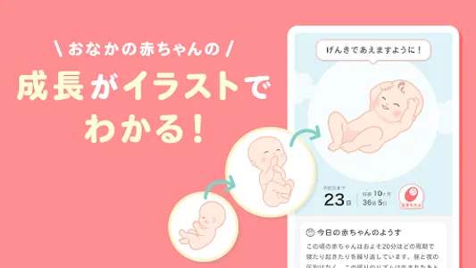 トモニテ妊娠-出産に役立ち赤ちゃんの様子がわかる旧ママデイズ screenshot 0