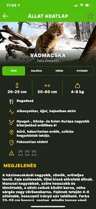 Kopó screenshot 5