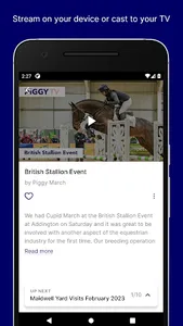 Piggy TV screenshot 2