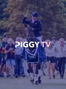Piggy TV screenshot 4