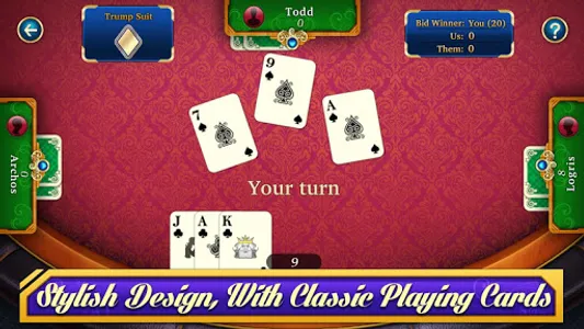 29 Card Game screenshot 0