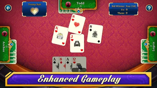 29 Card Game screenshot 2