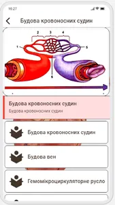 Human Anatomy. Angiology screenshot 4
