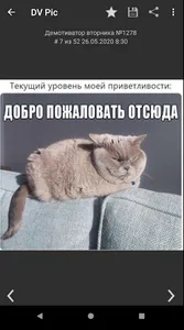 DVPic - видеоприколы и демы screenshot 1