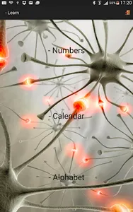 Mnemonics PRO screenshot 13