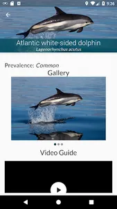 Sea Watcher screenshot 1