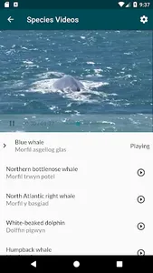Sea Watcher screenshot 4