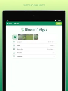 Bloomin' Algae screenshot 10