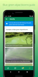 Bloomin' Algae screenshot 2