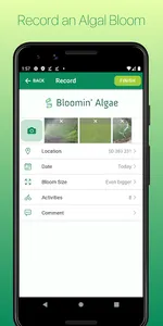 Bloomin' Algae screenshot 3