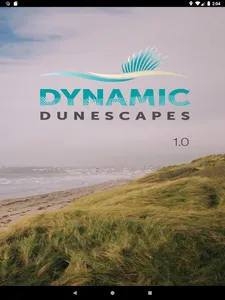 Dynamic Dunescapes screenshot 10