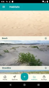 Dynamic Dunescapes screenshot 5