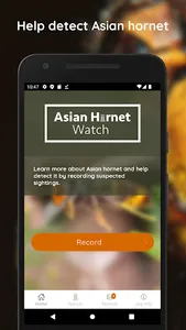 Asian Hornet Watch screenshot 0