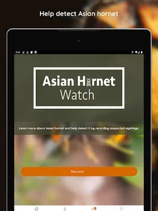 Asian Hornet Watch screenshot 6