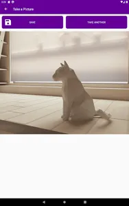 SALVE screenshot 9