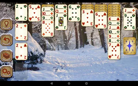 Solitaire Pro screenshot 16