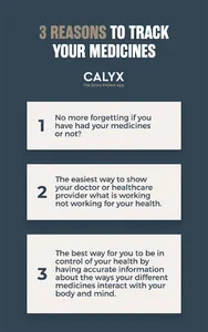 Calyx screenshot 4