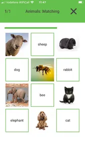 English Vocabulary builder screenshot 1