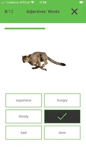 English Vocabulary builder screenshot 3