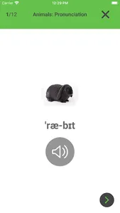 English Vocabulary builder screenshot 4