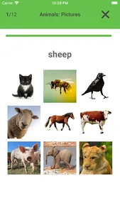 English Vocabulary builder screenshot 5