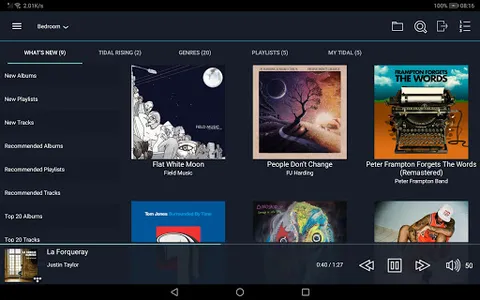 Linn Kazoo screenshot 10