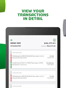 Yorkshire Building Society screenshot 12