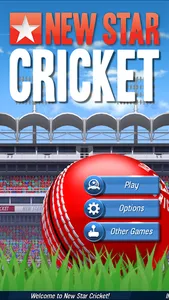 New Star Cricket screenshot 0