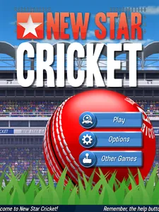 New Star Cricket screenshot 12