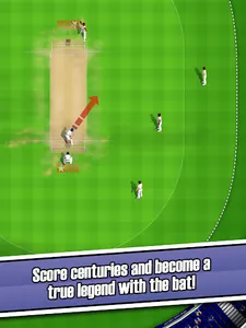 New Star Cricket screenshot 13