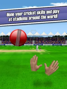 New Star Cricket screenshot 9