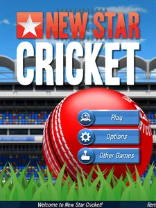 New Star: Cricket screenshot 12