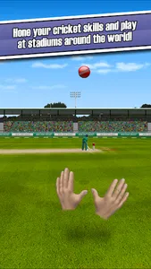 New Star: Cricket screenshot 3