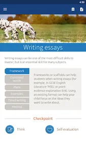 Brum Bitesize screenshot 5