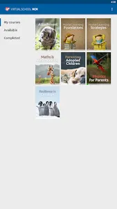 Virtual School MCM screenshot 14