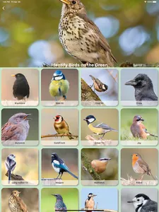 Redland Green Bird Box Survey screenshot 11