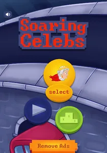 Soaring Celebs screenshot 5