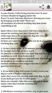Ultimate Pet Dog Handbook screenshot 4