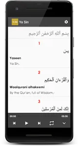 Surah Ya-Sin (Ya Sin) screenshot 0