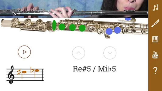 2D Flute Fingering Chart screenshot 3