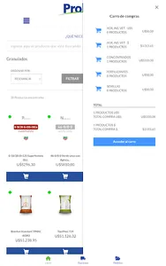 Prolesa screenshot 16