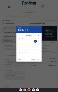 Prolesa screenshot 18