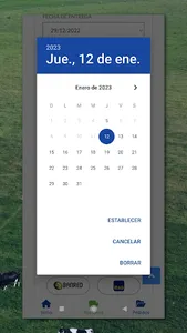 Prolesa screenshot 4