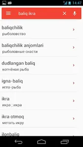 Russian-Uzbek Dictionary screenshot 5