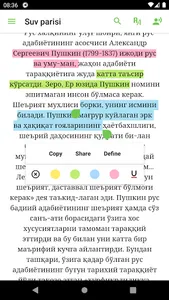 Aleksandr Pushkin - Suv Parisi screenshot 3